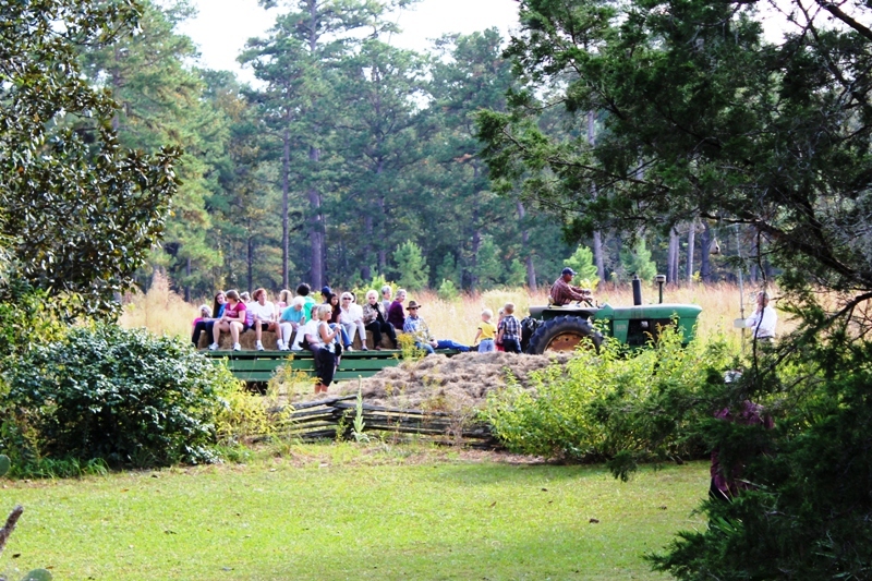Birdsong Nature Center Thomasville Ga Birdsong Nature Center Thomasville Ga